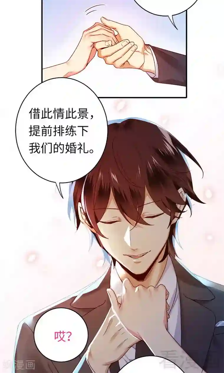 复仇少爷小甜妻第147话 我们的婚礼