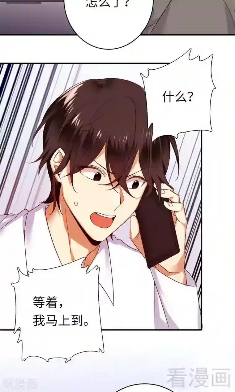 复仇少爷小甜妻第147话 我们的婚礼