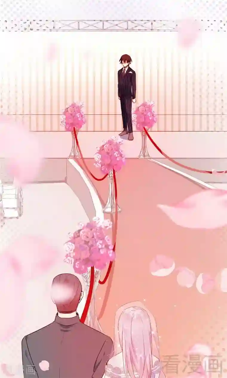 复仇少爷小甜妻第147话 我们的婚礼