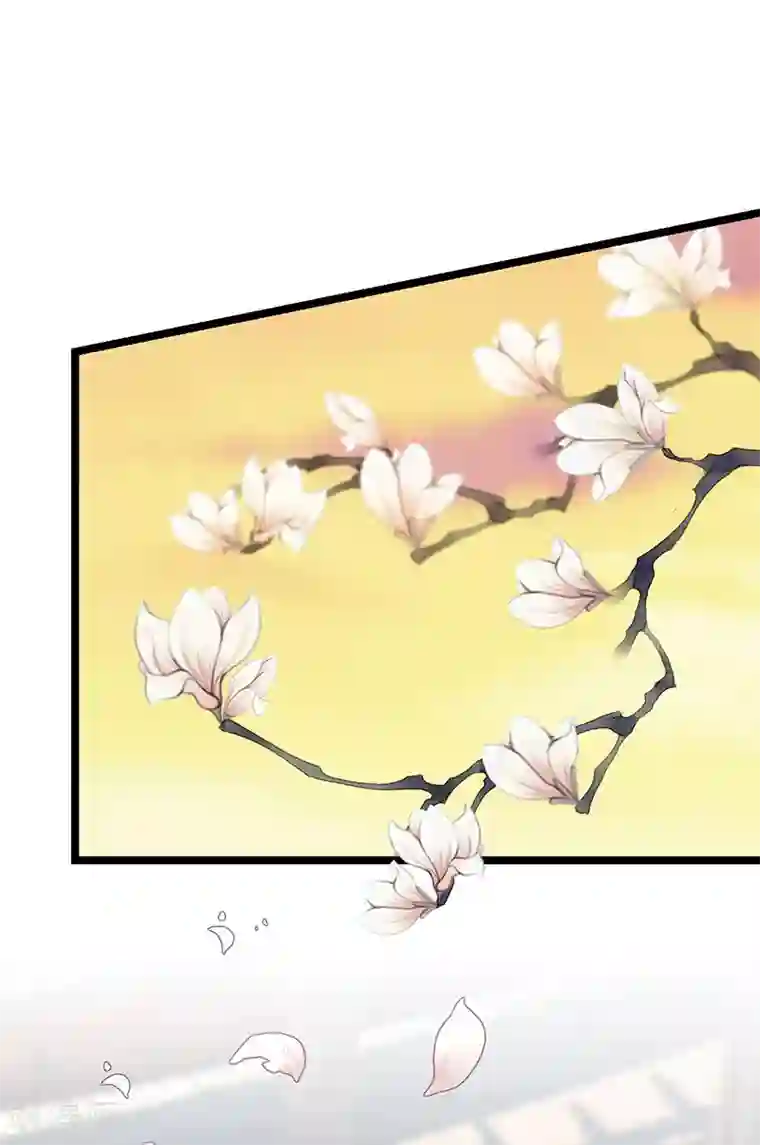 贺少的闪婚暖妻第244话 再见前任小姐