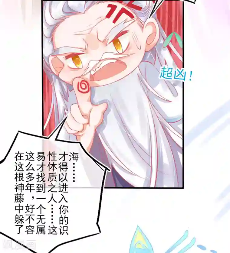 本王妃神藤在手第12话 神藤之主