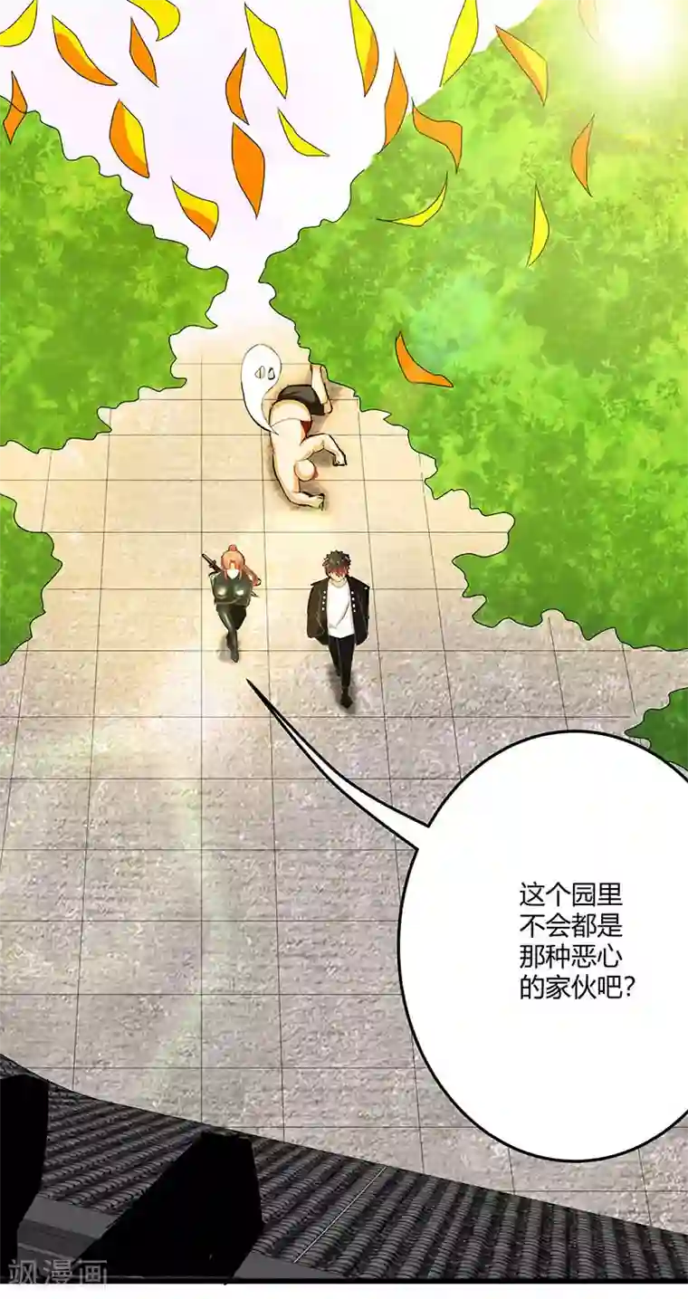 桃运高手第2季第66话 后山的奇葩们