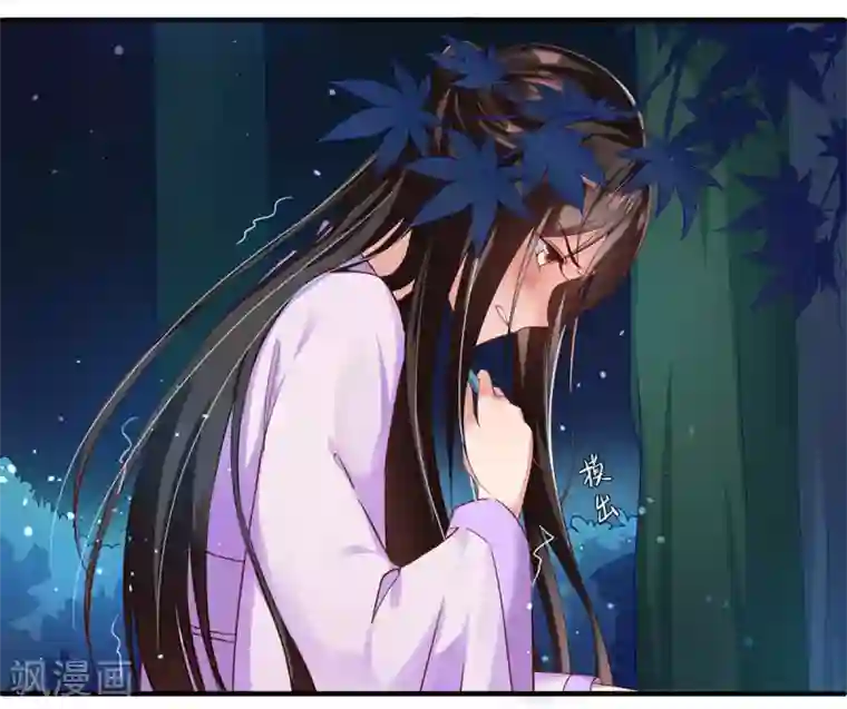 惊世狂妃第2话 初遇美男子