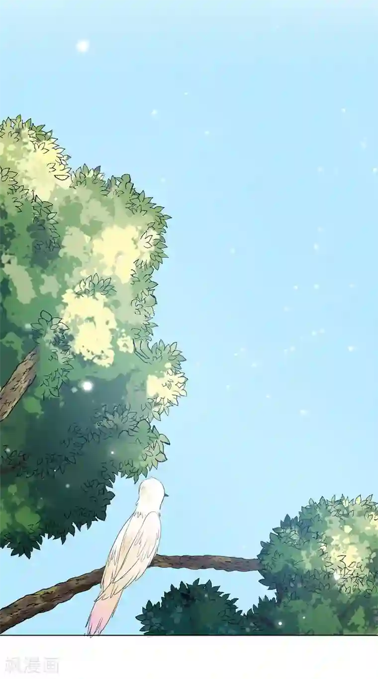 总裁请离我远点第8话 心酸往事