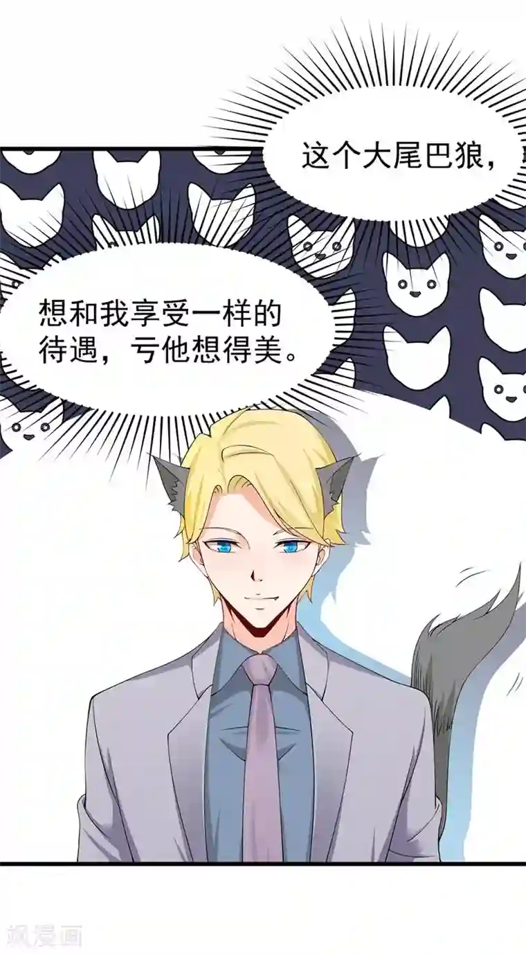 总裁娶进门第59话 齐二少心仪乔小姐？