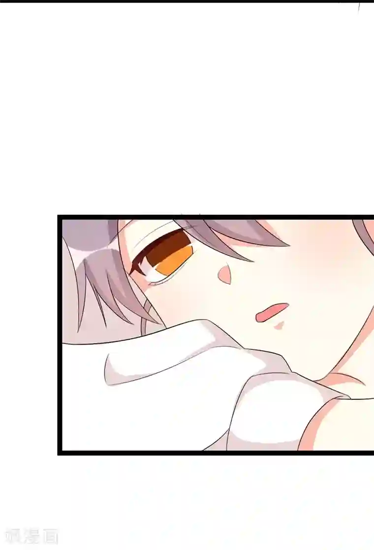 纯爱指令第66话