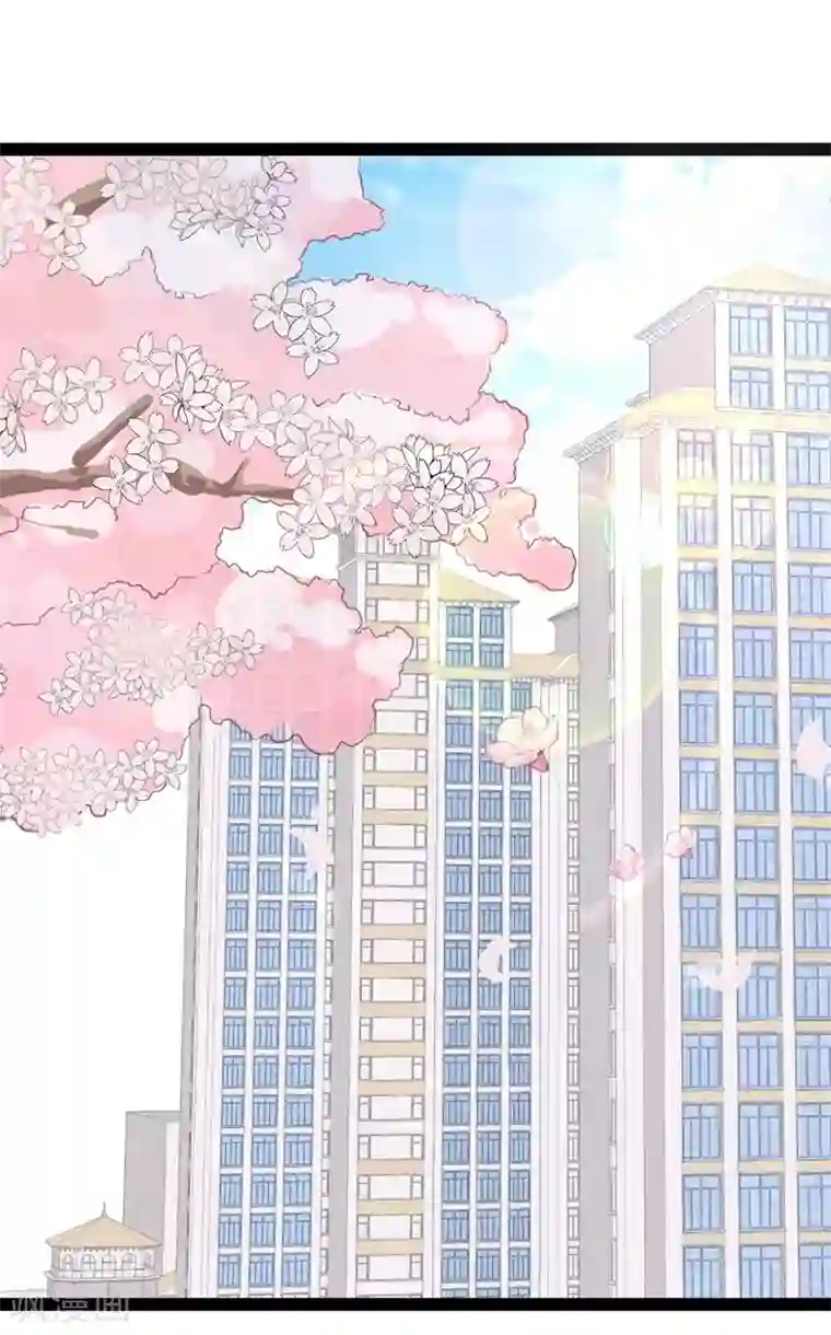 纯爱指令第79话