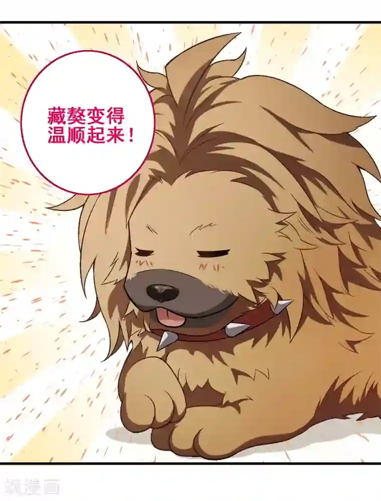 富女仆与穷少爷第37话 第三十课：越野求生赛4
