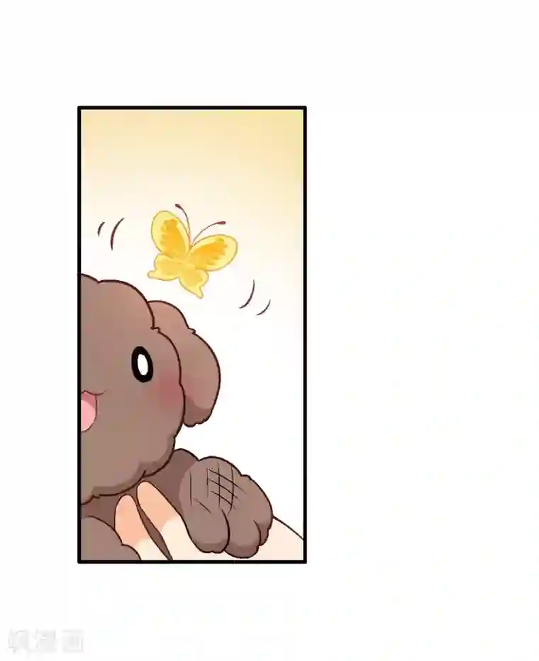 富女仆与穷少爷第57话 第三十九课：挺身而出