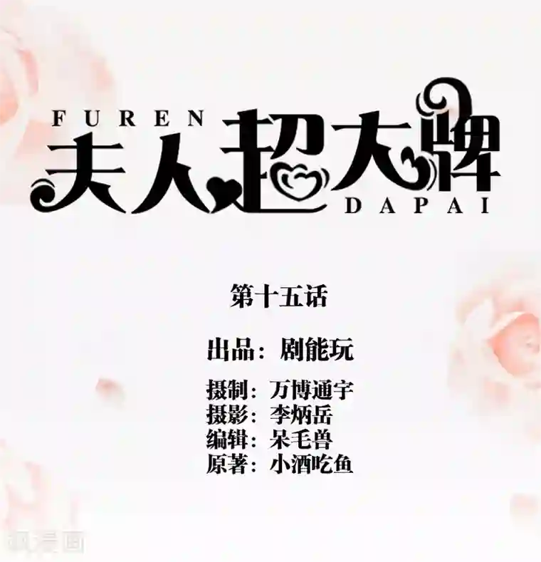 夫人超大牌第15话