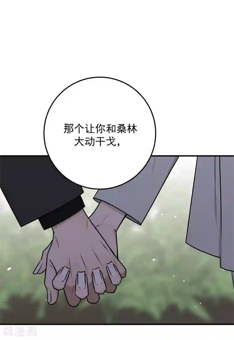 养蛊为欢第28话