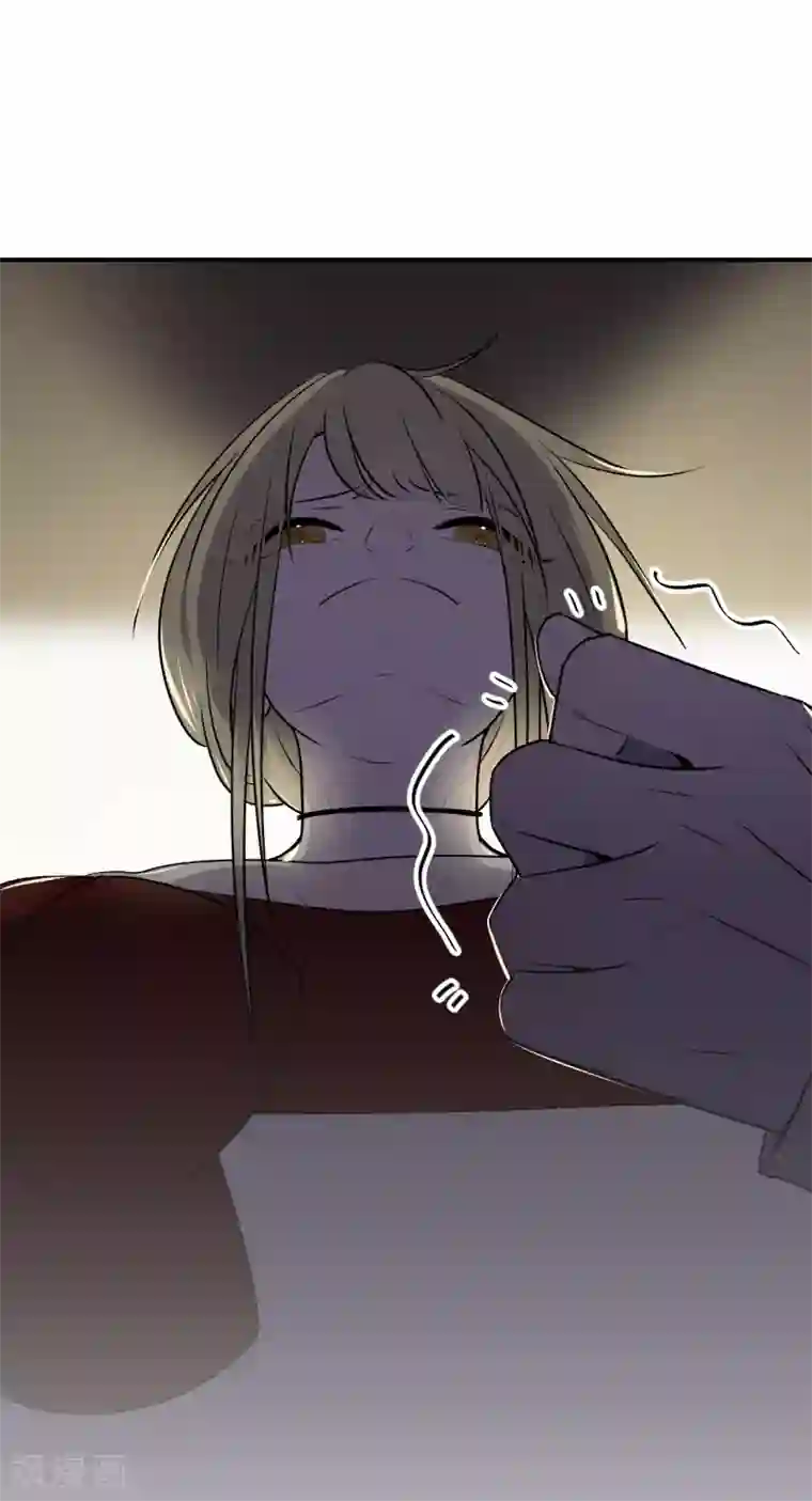 养蛊为欢第29话