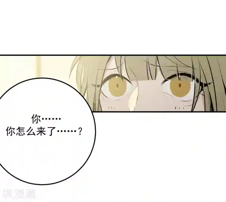 养蛊为欢第43话