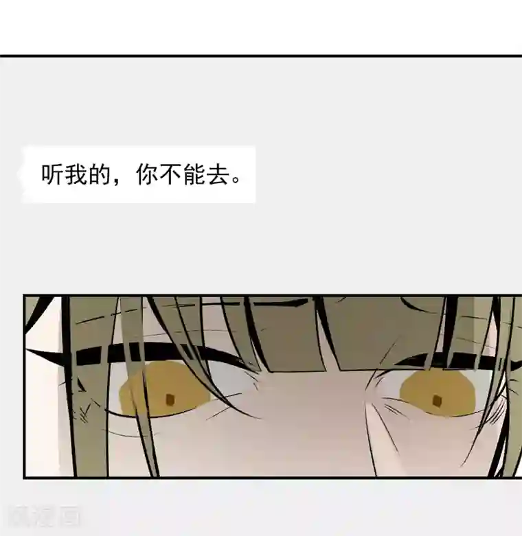 养蛊为欢第49话