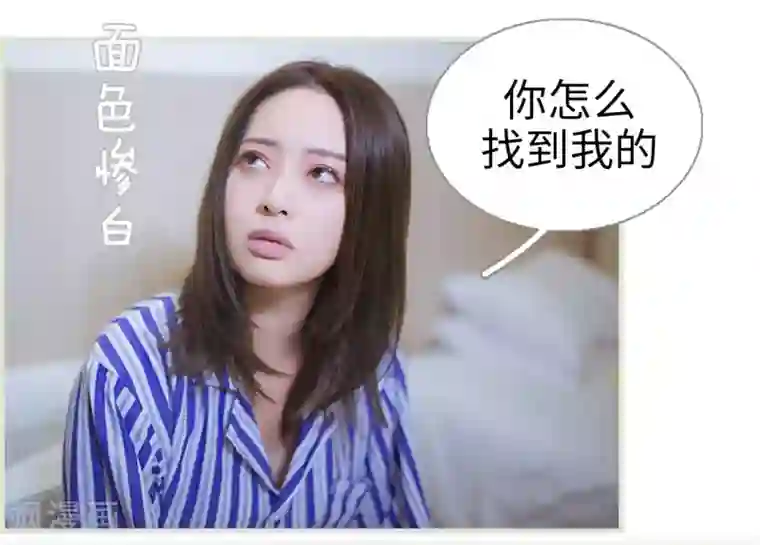 狐狸小姐和灰狼总裁第40话