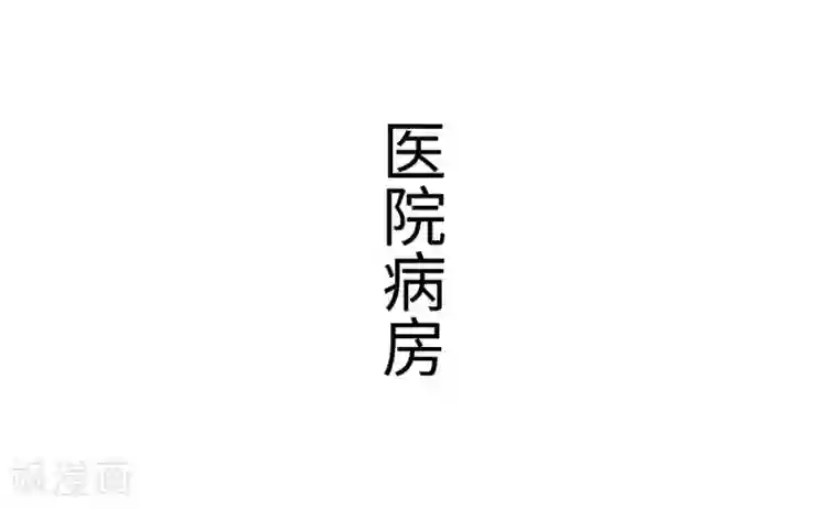 狐狸小姐和灰狼总裁第40话