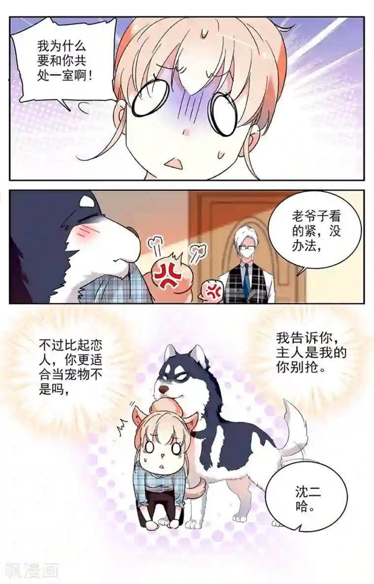 恋爱禁忌条例第22话 上官的新宠物