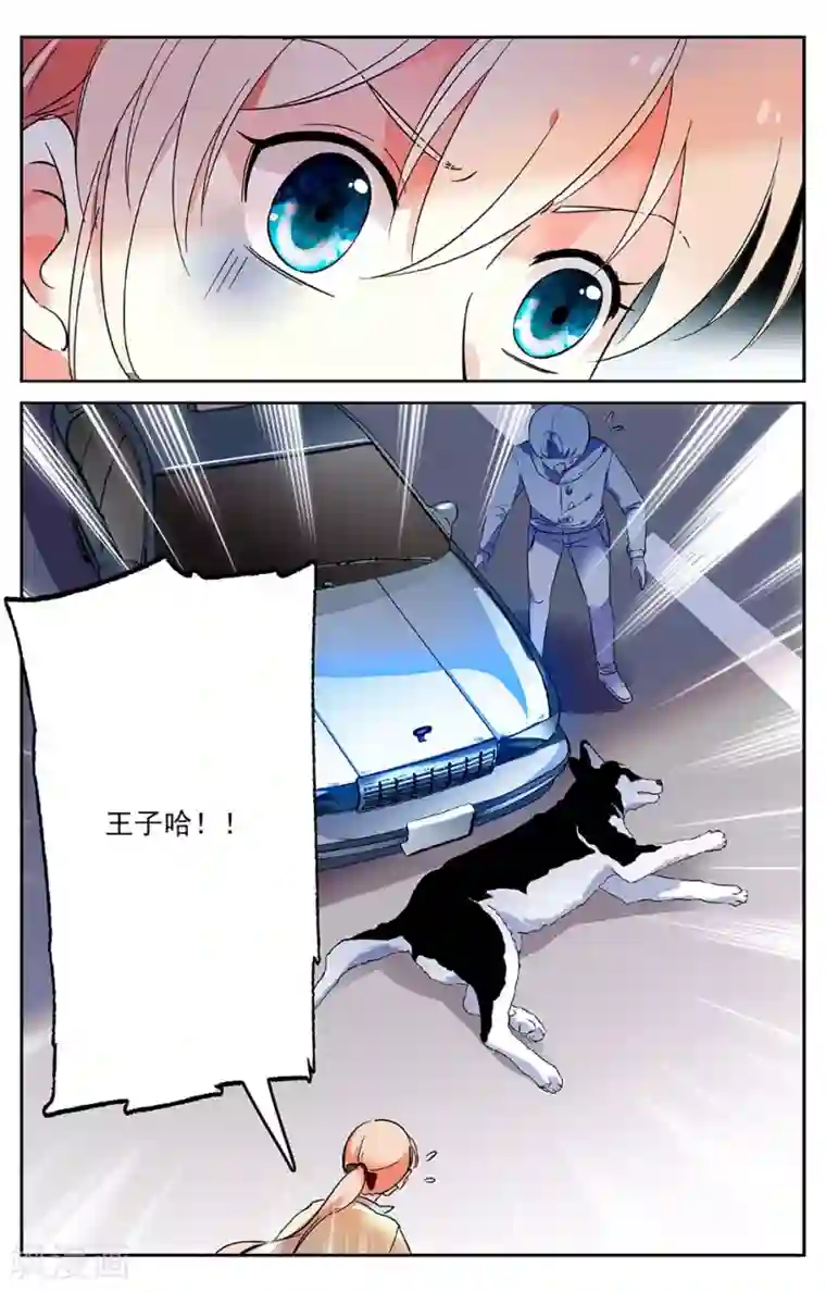 恋爱禁忌条例第30话 车祸现场