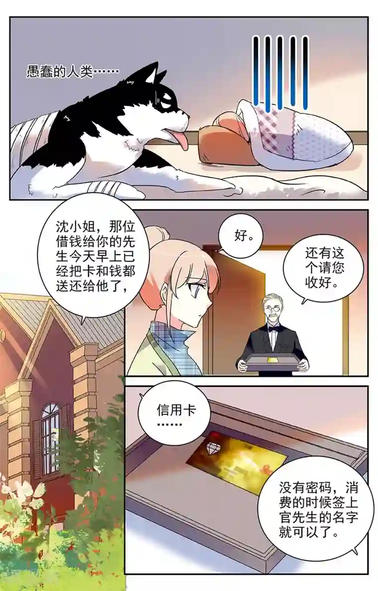 恋爱禁忌条例第33话 礼服到了