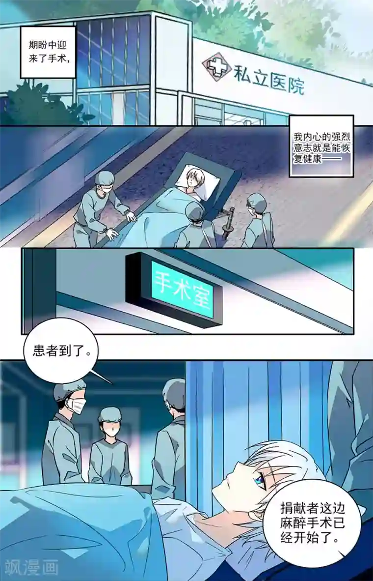 恋爱禁忌条例番外8 互相交换秘密