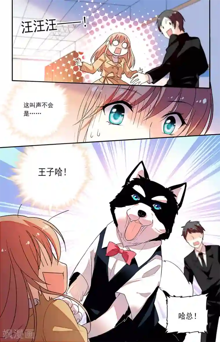 恋爱禁忌条例第143话 兼职当哈总的保姆