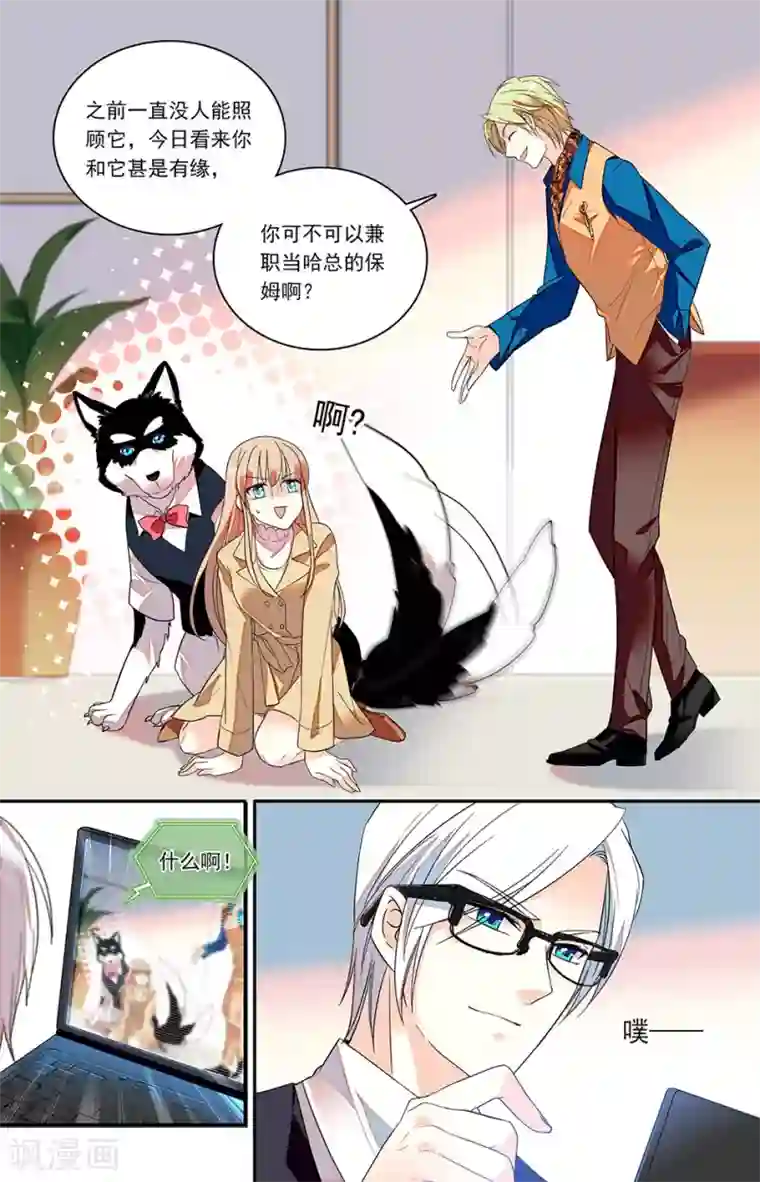 恋爱禁忌条例第143话 兼职当哈总的保姆