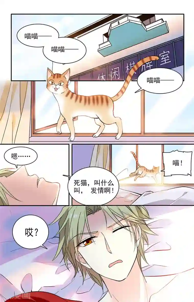 恋爱禁忌条例第169话 失守