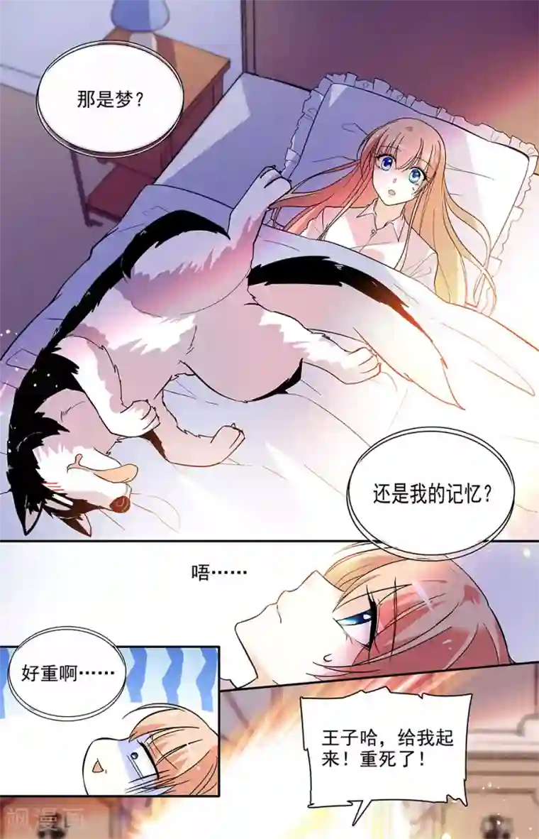 恋爱禁忌条例第188话 交换身份的游戏