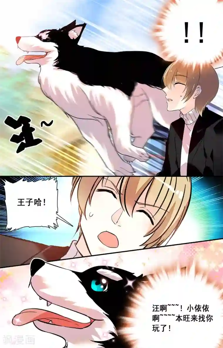 恋爱禁忌条例第228话 真的要和你再见？