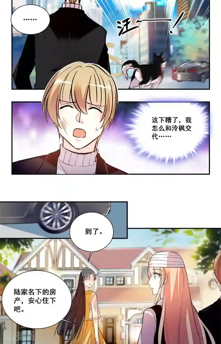 恋爱禁忌条例第228话 真的要和你再见？