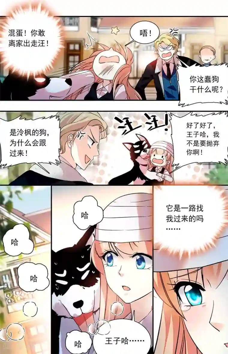 恋爱禁忌条例第229话 真正的移植者