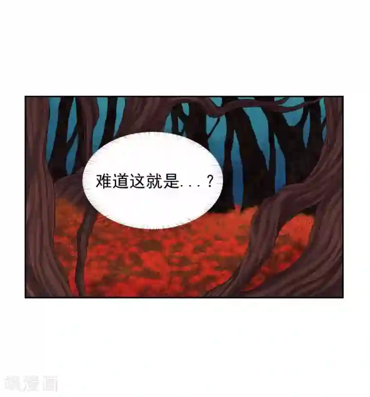 寿命师第14话