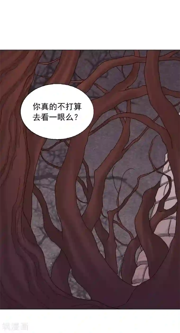 寿命师第25话