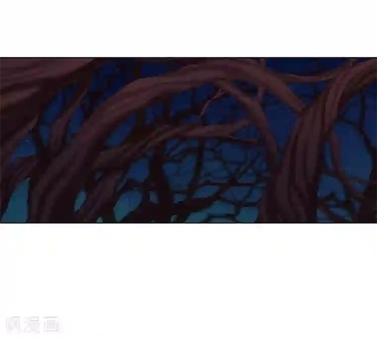 寿命师第30话