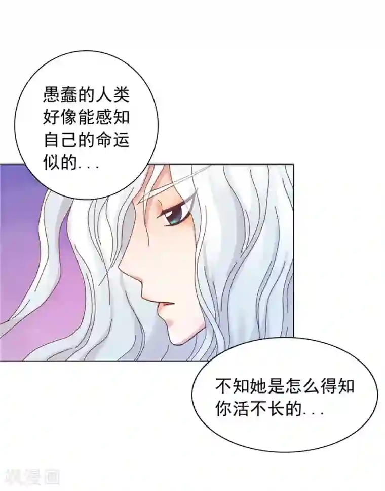寿命师第39话