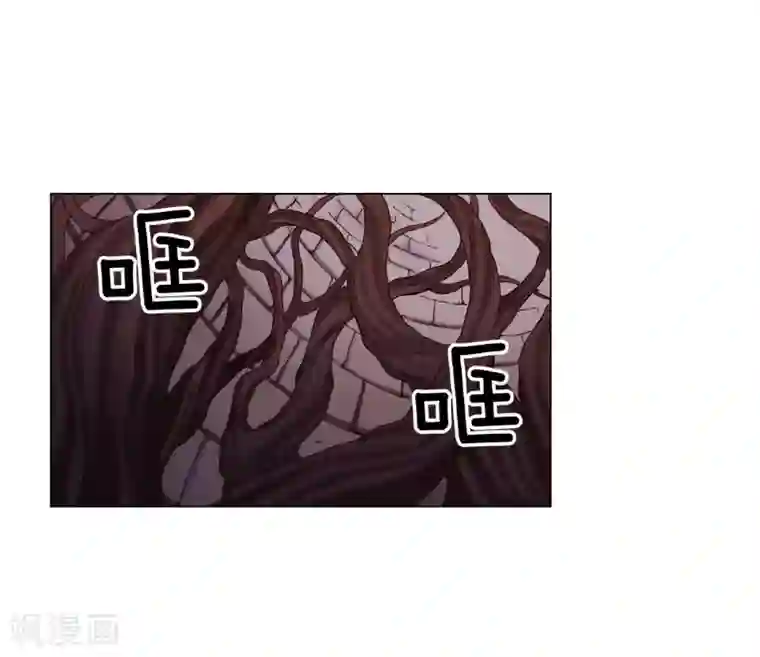 寿命师第41话