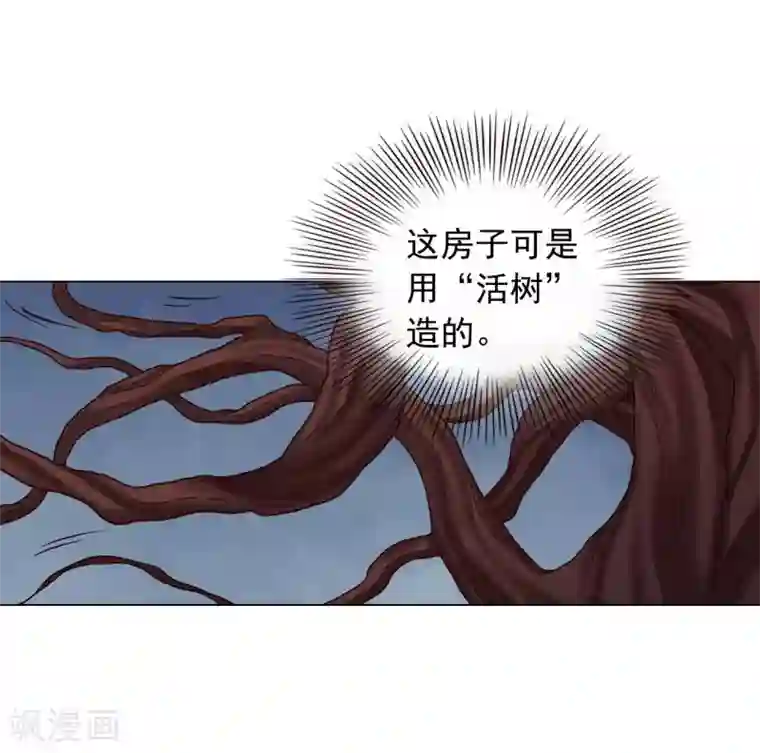 寿命师第41话