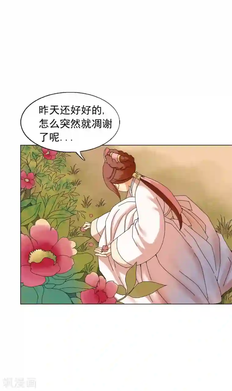 寿命师第54话