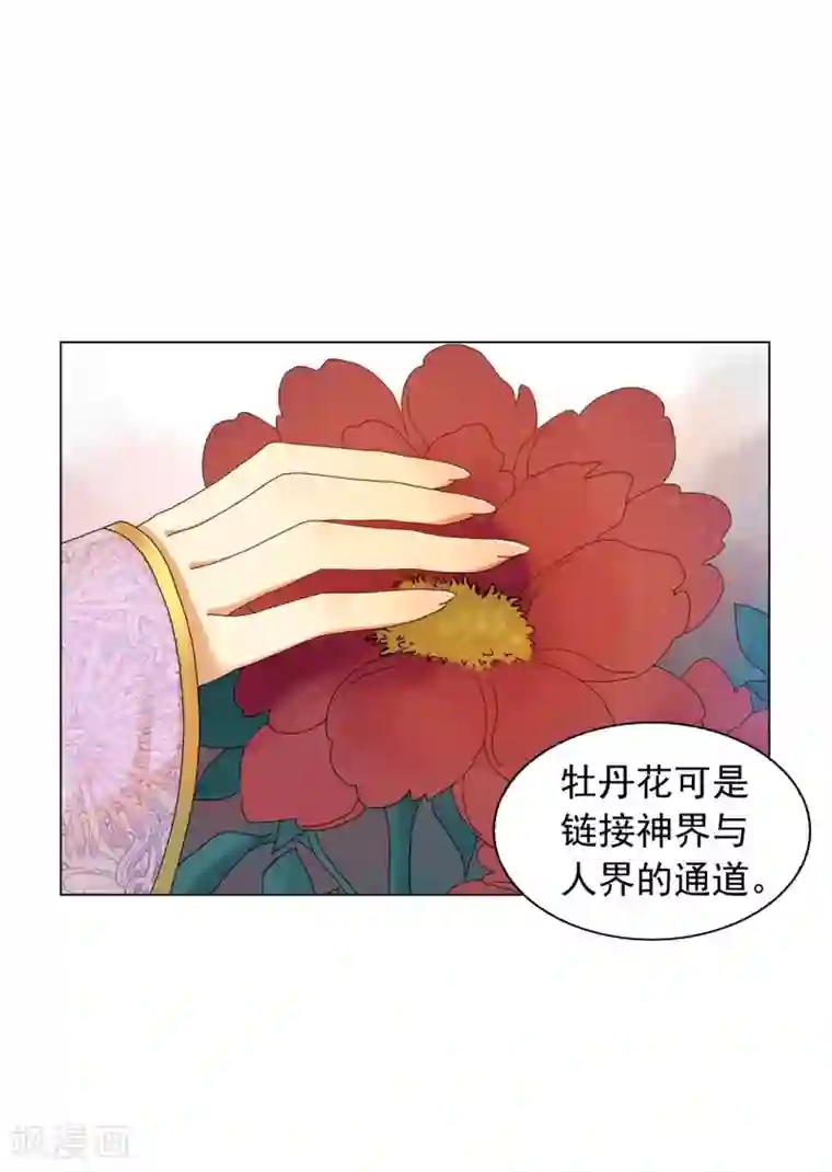 寿命师第55话