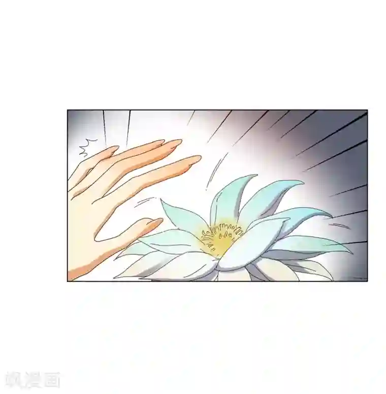 寿命师第71话