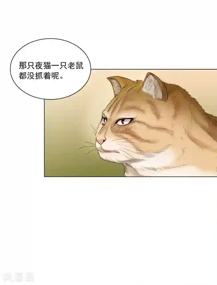 寿命师第105话
