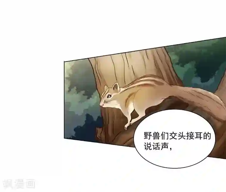 寿命师第105话