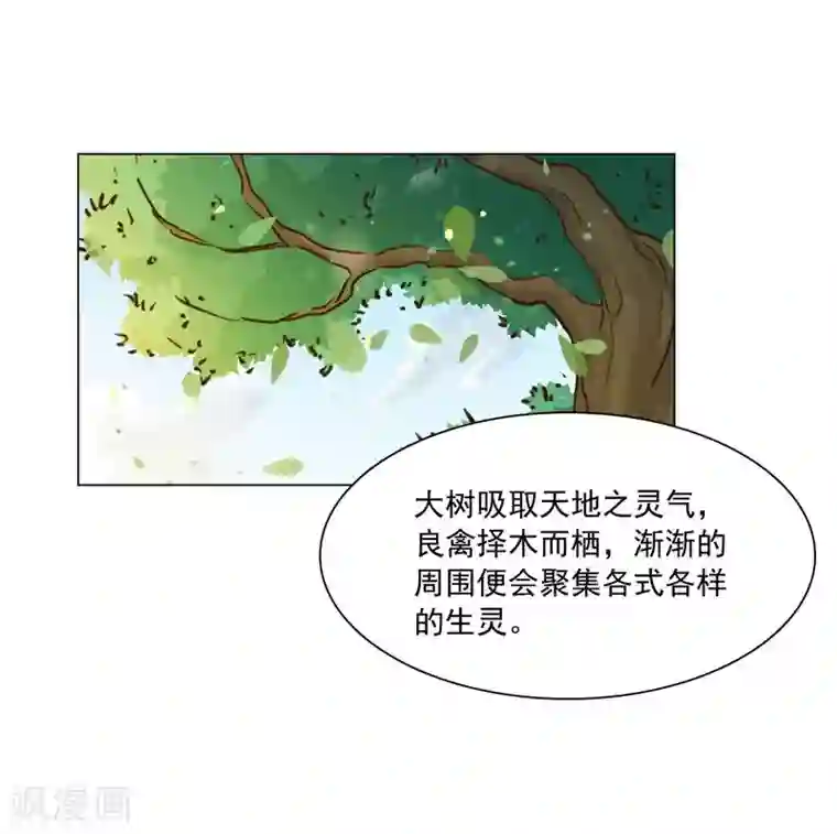 寿命师第127话