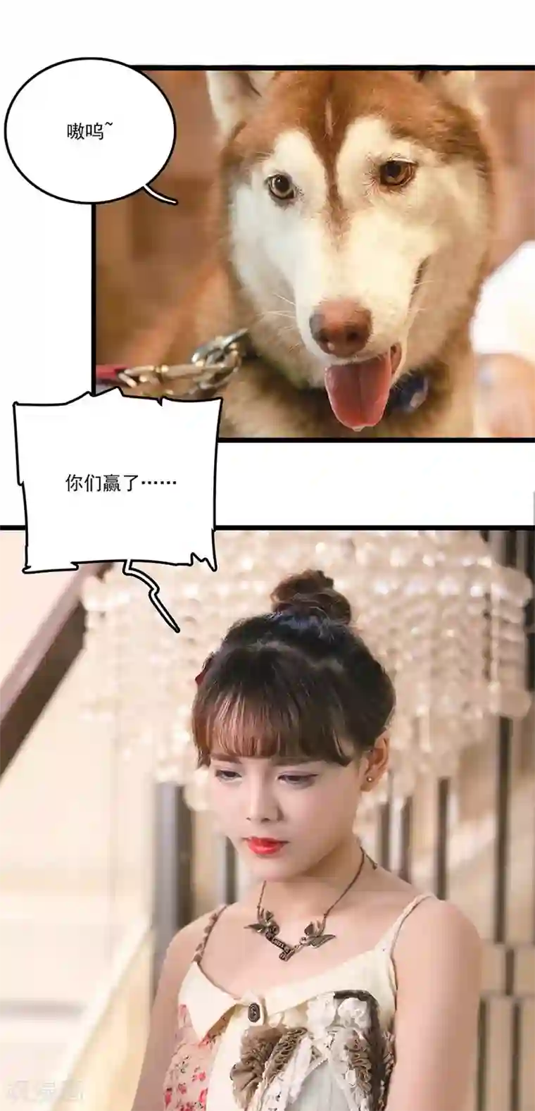 恋爱禁忌条例真人漫第24话 礼仪训练