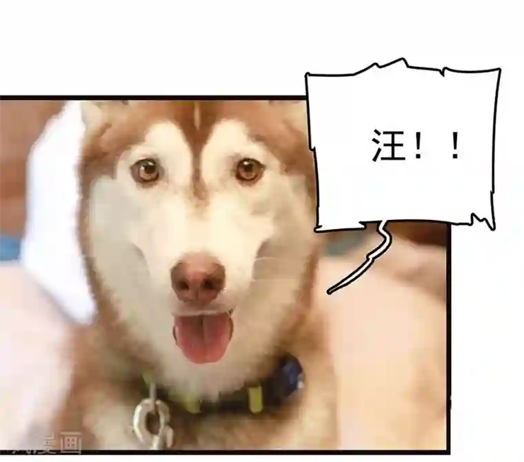 恋爱禁忌条例真人漫第25话 逃跑未遂