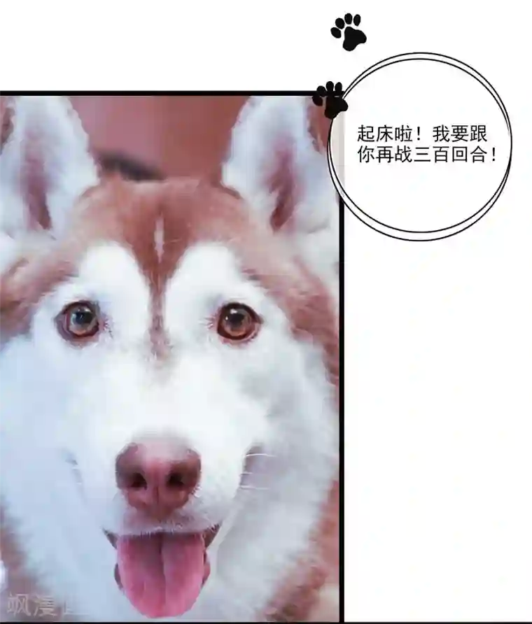 恋爱禁忌条例真人漫第38话 意外来客