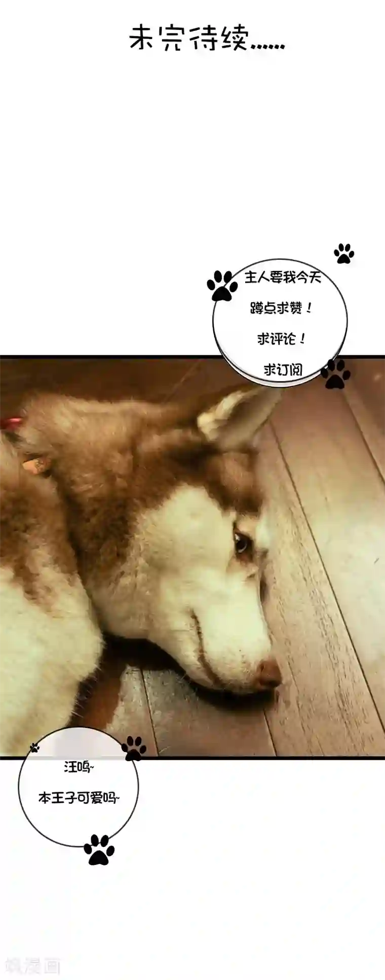 恋爱禁忌条例真人漫第39话 牵线