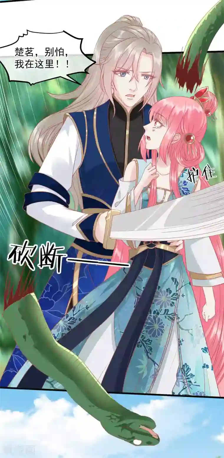 读档皇后第204话 遇见兔子