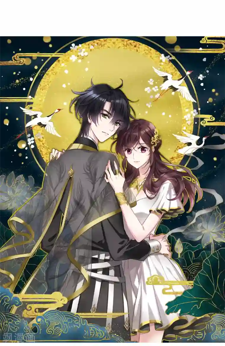 我的命运之书第25话1 赝品