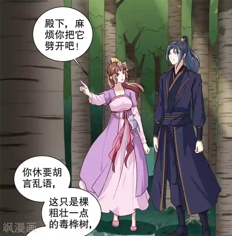 天才小毒妃之芸汐传奇第198话 茹姨的刁难